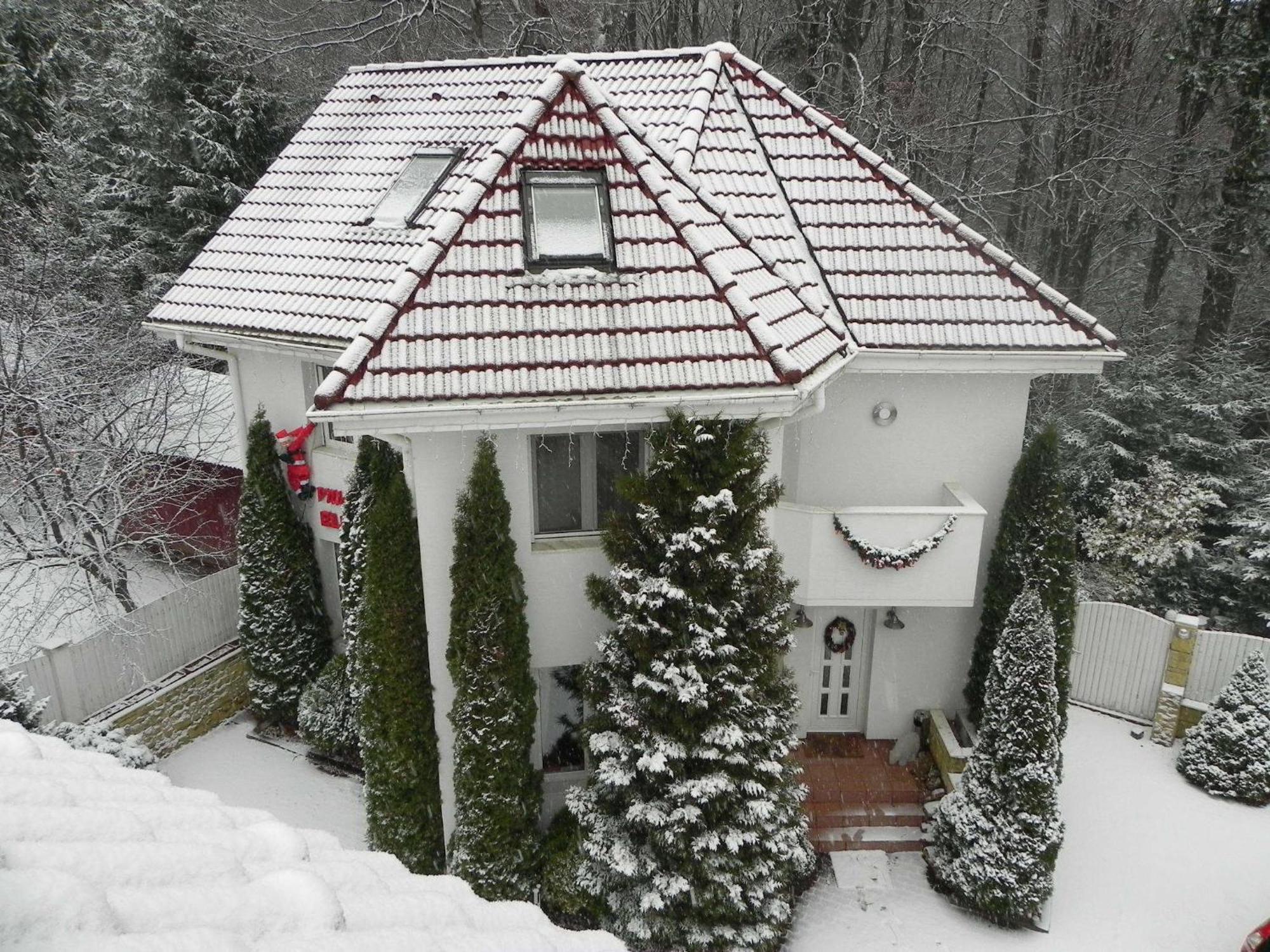 Boutique Hotel Forest Retreat (Adults Only) Buşteni Exteriör bild