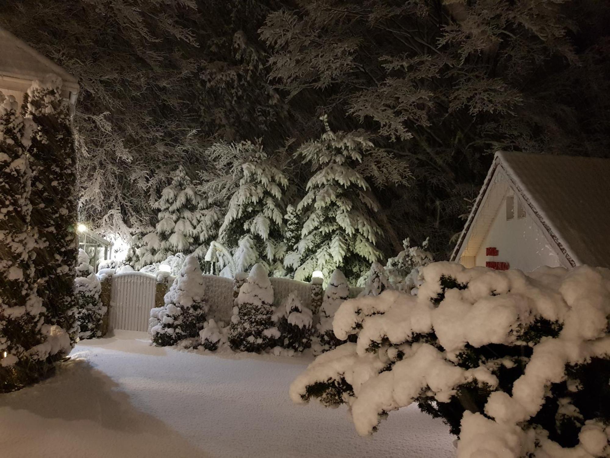 Boutique Hotel Forest Retreat (Adults Only) Buşteni Exteriör bild