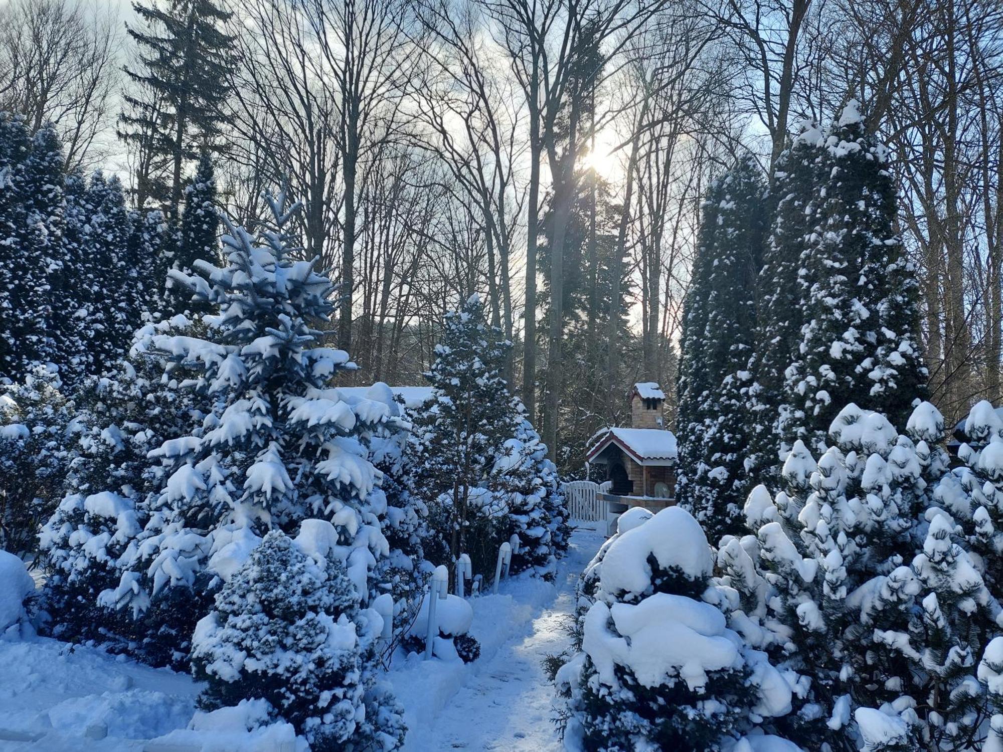 Boutique Hotel Forest Retreat (Adults Only) Buşteni Exteriör bild