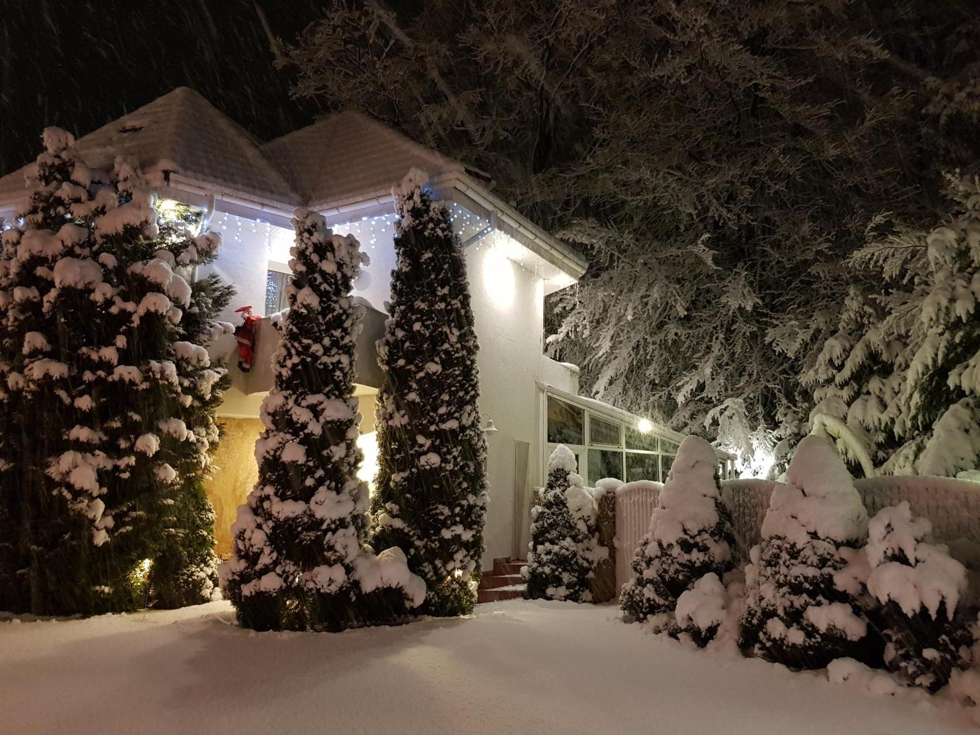 Boutique Hotel Forest Retreat (Adults Only) Buşteni Exteriör bild