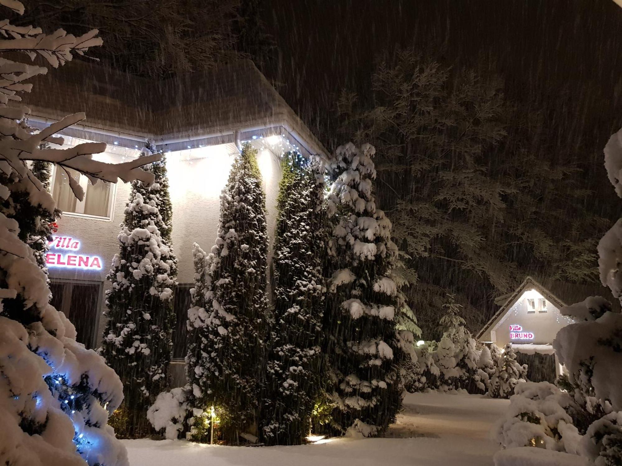 Boutique Hotel Forest Retreat (Adults Only) Buşteni Exteriör bild