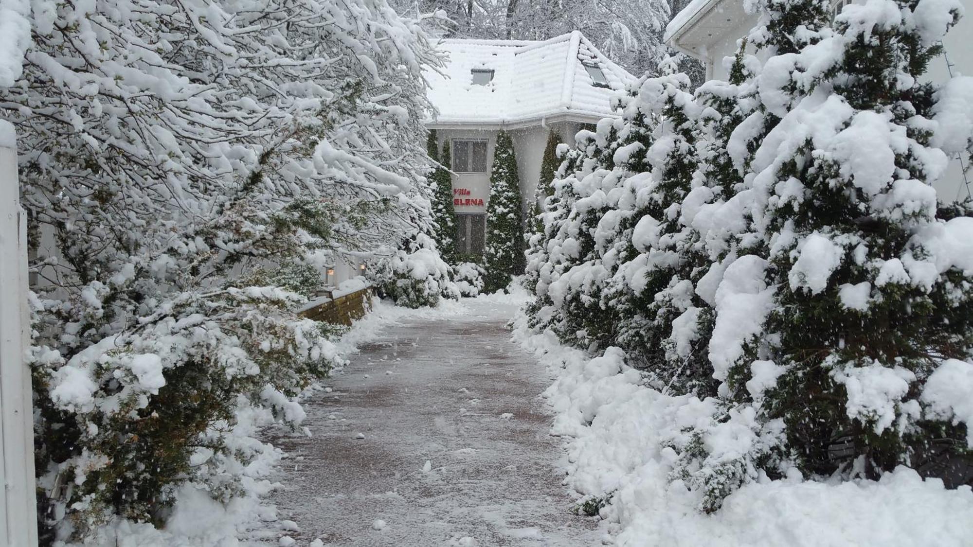 Boutique Hotel Forest Retreat (Adults Only) Buşteni Exteriör bild