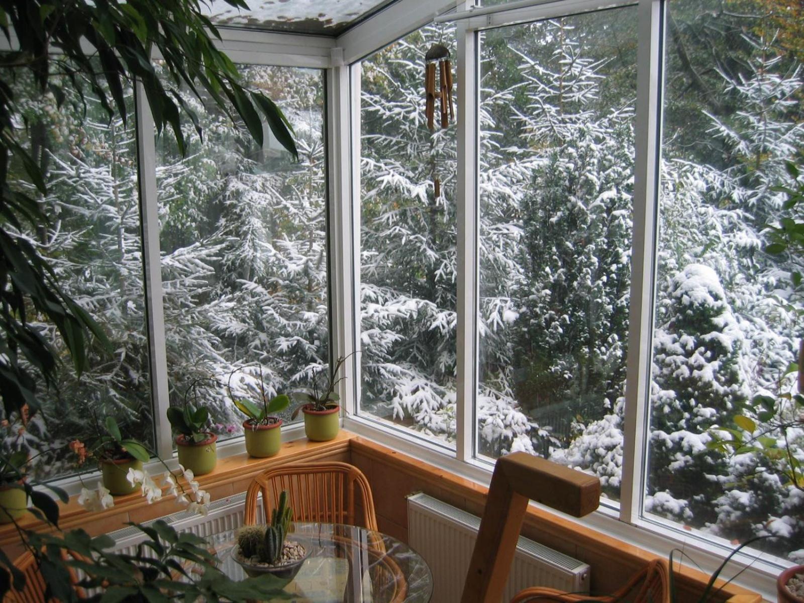 Boutique Hotel Forest Retreat (Adults Only) Buşteni Exteriör bild