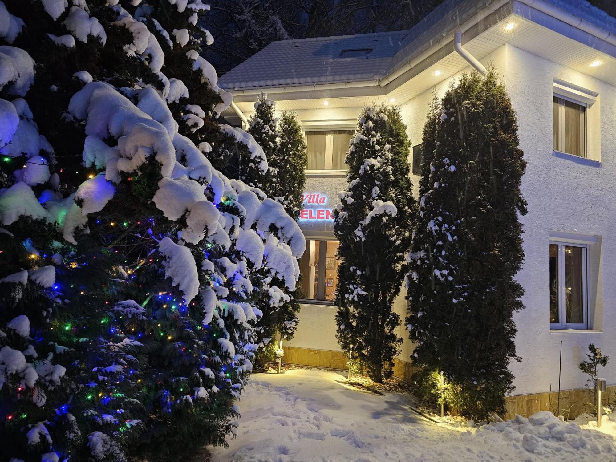 Boutique Hotel Forest Retreat (Adults Only) Buşteni Exteriör bild
