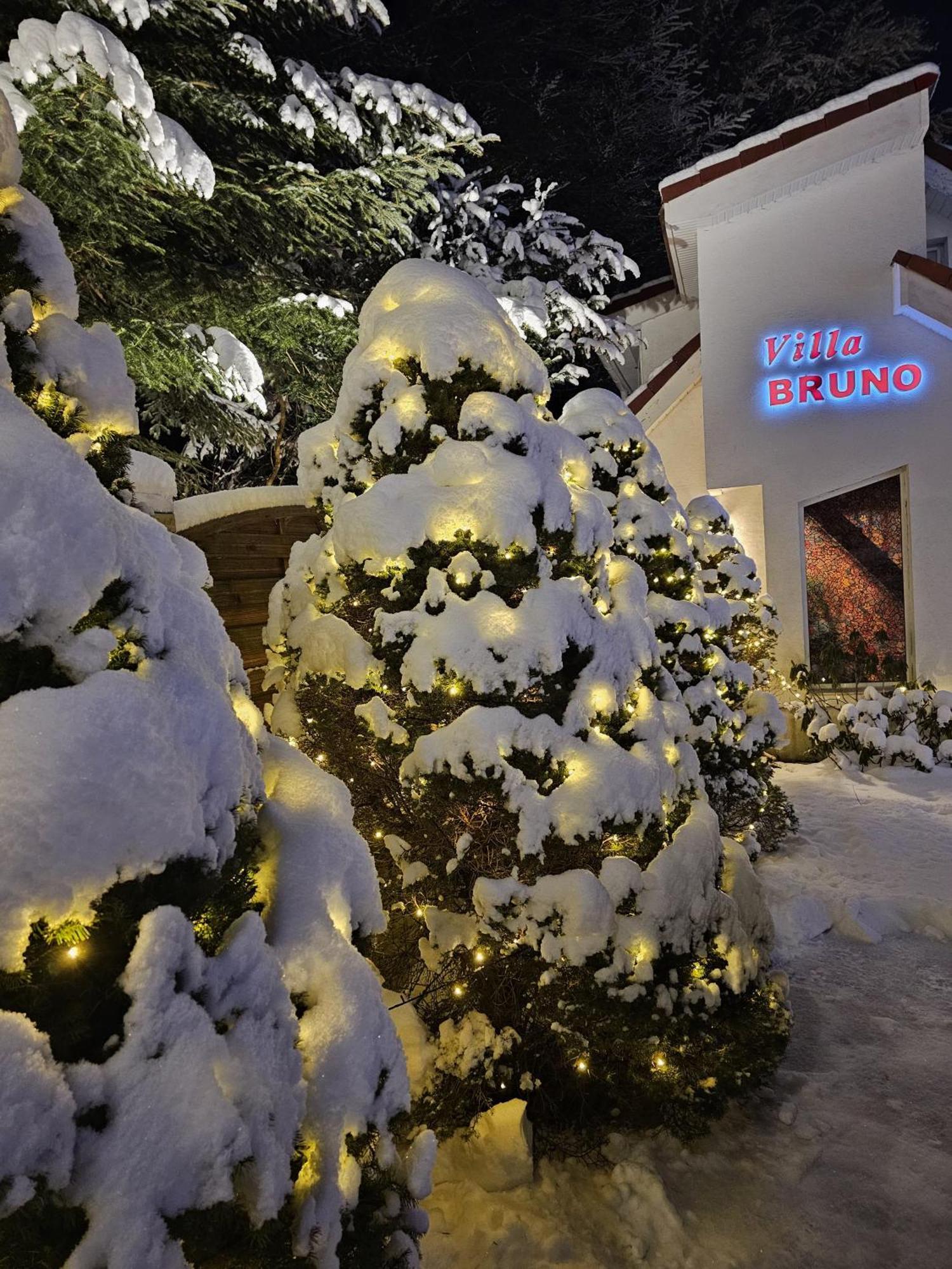 Boutique Hotel Forest Retreat (Adults Only) Buşteni Exteriör bild