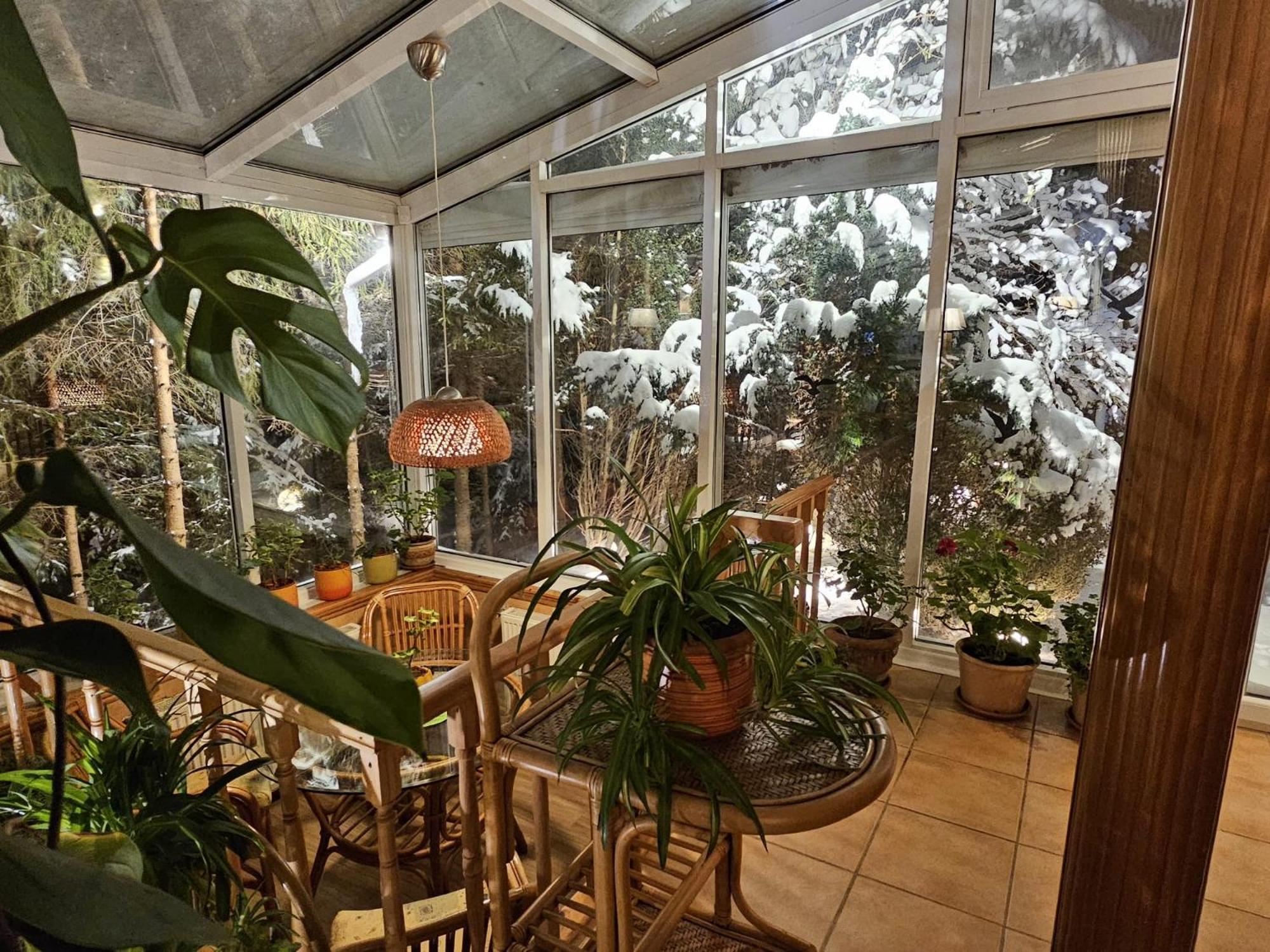 Boutique Hotel Forest Retreat (Adults Only) Buşteni Exteriör bild