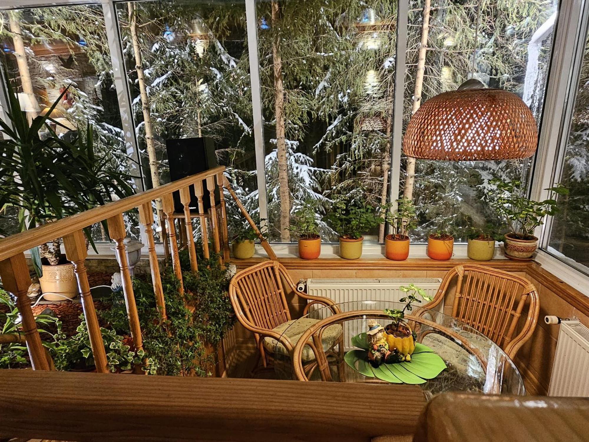 Boutique Hotel Forest Retreat (Adults Only) Buşteni Exteriör bild