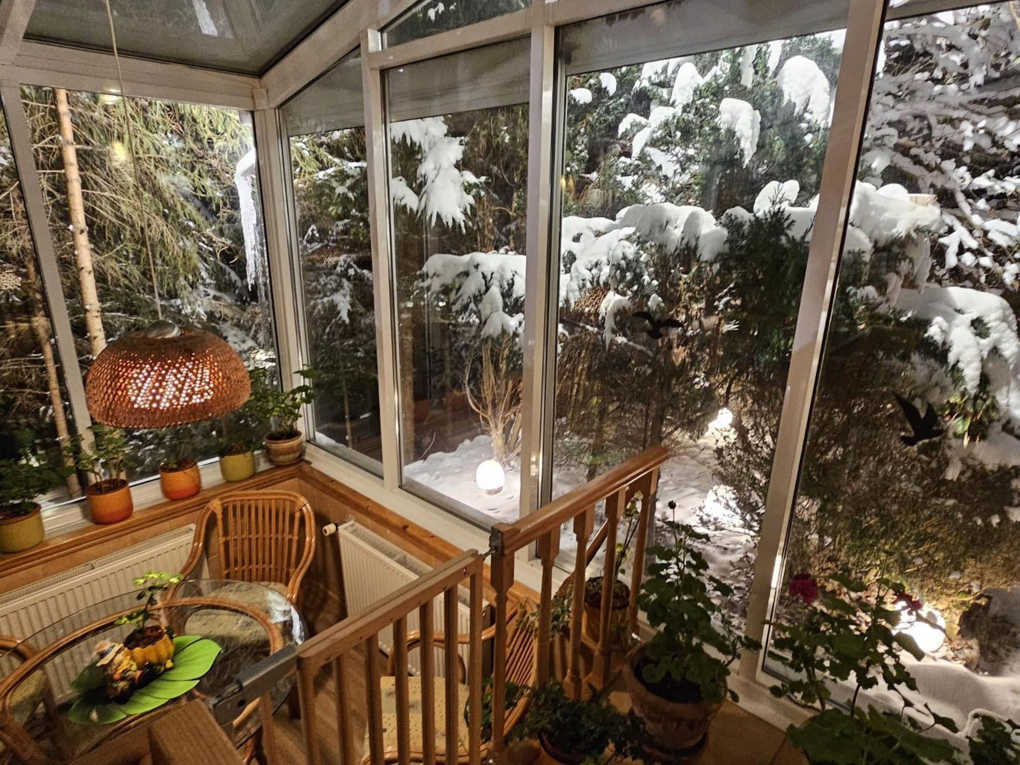 Boutique Hotel Forest Retreat (Adults Only) Buşteni Exteriör bild